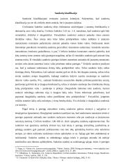 Sandorių požymiai, klasifikacija forma bei negaliojimas 5 puslapis