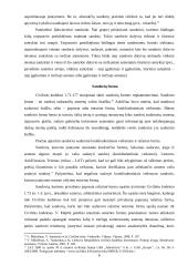 Sandorių požymiai, klasifikacija forma bei negaliojimas 7 puslapis