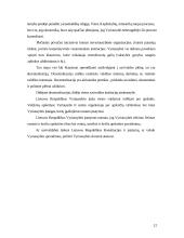 Santykiai tarp skirtingų valdymo lygių Lietuvoje 12 puslapis