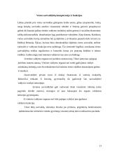 Santykiai tarp skirtingų valdymo lygių Lietuvoje 13 puslapis