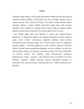 Santykiai tarp skirtingų valdymo lygių Lietuvoje 14 puslapis