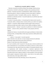 Santykiai tarp skirtingų valdymo lygių Lietuvoje 3 puslapis