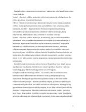 Santykiai tarp skirtingų valdymo lygių Lietuvoje 5 puslapis