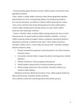 Santykiai tarp skirtingų valdymo lygių Lietuvoje 9 puslapis