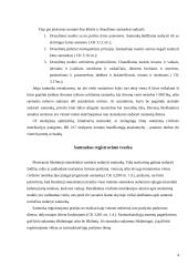 Santuokos teisė 4 puslapis