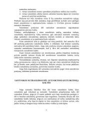 Santuokos nutraukimas 5 puslapis