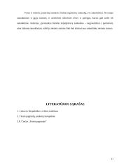 Santuokos nutraukimas mūsų visuomenėje 11 puslapis