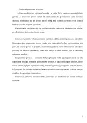 Santuokos nutraukimas mūsų visuomenėje 5 puslapis