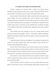 Santuokos nutraukimas mūsų visuomenėje 6 puslapis