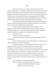 Saugumas ir patikimumas elektroninėje komercijoje 2 puslapis