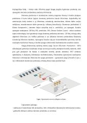 Saugumas ir patikimumas elektroninėje komercijoje 5 puslapis
