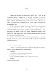 Savigarbos samprata 2 puslapis