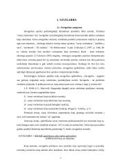 Savigarbos samprata 3 puslapis