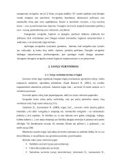 Savigarbos samprata 6 puslapis