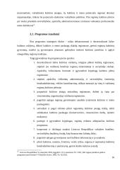 Savivaldybių ir apskričių viršininkų institucijų kompetencija ir sąveika kultūros srityje 16 puslapis