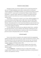 Savivertės samprata 2 puslapis