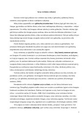 Savivertės samprata 3 puslapis