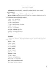 Savivertės samprata 6 puslapis