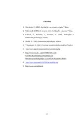 Savižudybės samprata, etapai, priežastys, tipai ir dvasinė būsena 17 puslapis