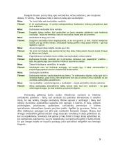 Savižudybės ir savižudžio samprata 8 puslapis