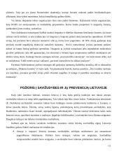 Savižudybės išvados 12 puslapis