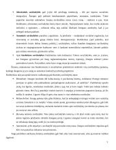 Savižudybės išvados 5 puslapis