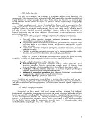 Savižudybių problema Lietuvoje 8 puslapis