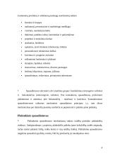 Skaitmeniniai spausdinimo aparatai 3 puslapis