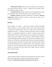 Skaitmeniniai spausdinimo aparatai 7 puslapis