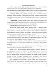 Skyrybų priežastys 4 puslapis