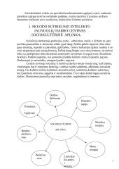 Skuodo sutrikusio intelekto jaunuolių darbo centras 2 puslapis