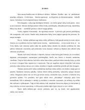 Smurtas bei prievarta prieš vaikus 2 puslapis