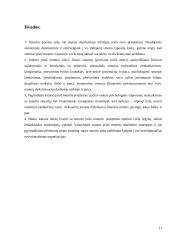 Smurtas prieš moteris kaip socialinė problema 11 puslapis
