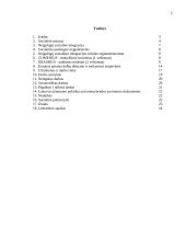 Socialinė integracija visuomenėje, jaunimo išsilavinimas, įdarbinimas 2 puslapis