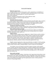 Socialinė integracija visuomenėje, jaunimo išsilavinimas, įdarbinimas 4 puslapis