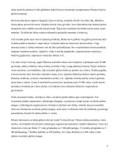 Socialinės apsaugos ir darbo ministerija 6 puslapis