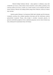 Socialiniai stereotipai 11 puslapis