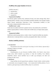 Socialinio konflikto samprata 4 puslapis
