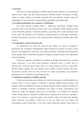 Socialinio konflikto samprata 5 puslapis