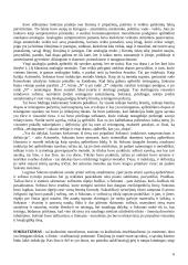 Sokrato idėjos 6 puslapis