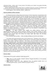 Sokrato idėjos 7 puslapis