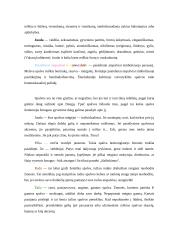 Spalvų psichologija 3 puslapis