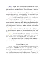 Spalvų psichologija 4 puslapis