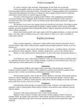 Specialusis ugdymas: regimasis sutrikimas 4 puslapis