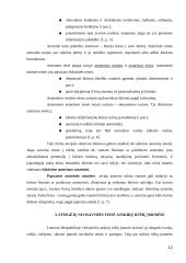 Steigėjo ir verslo subjekto nuosavybės teisės santykis 12 puslapis