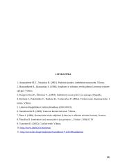 Steigėjo ir verslo subjekto nuosavybės teisės santykis 16 puslapis