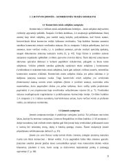 Steigėjo ir verslo subjekto nuosavybės teisės santykis 3 puslapis