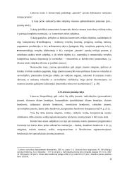 Steigėjo ir verslo subjekto nuosavybės teisės santykis 4 puslapis