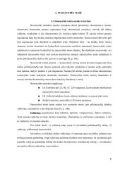 Steigėjo ir verslo subjekto nuosavybės teisės santykis 5 puslapis