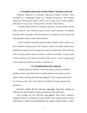 Strateginio planavimo charakteristikos viešajame sektoriuje: Slovėnija 2 puslapis